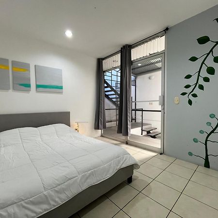 Sjo Oasis Hostel サンホセ エクステリア 写真