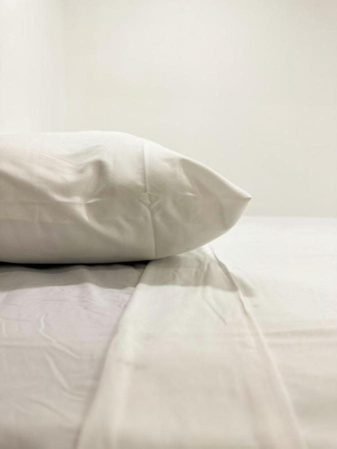 Sjo Oasis Hostel サンホセ エクステリア 写真