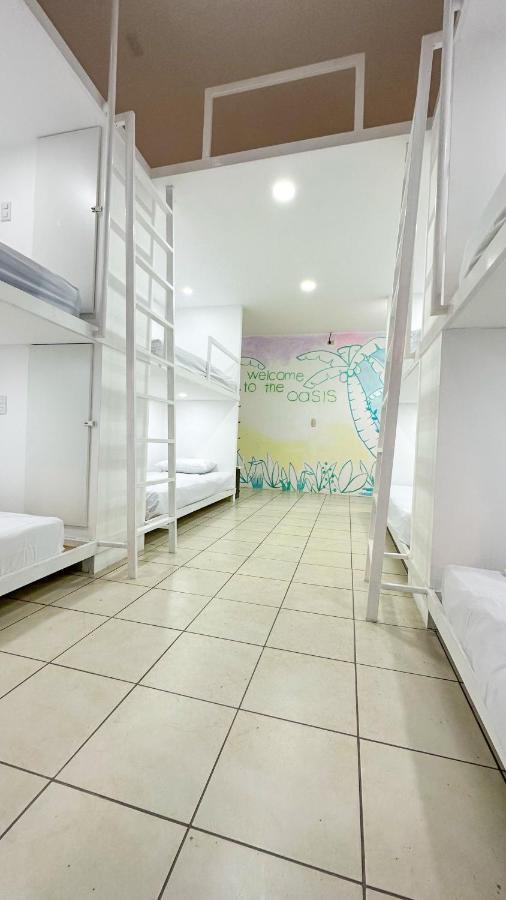 Sjo Oasis Hostel サンホセ エクステリア 写真