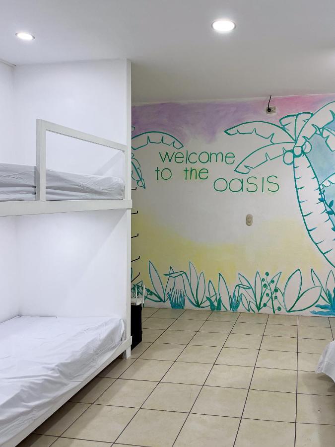 Sjo Oasis Hostel サンホセ エクステリア 写真