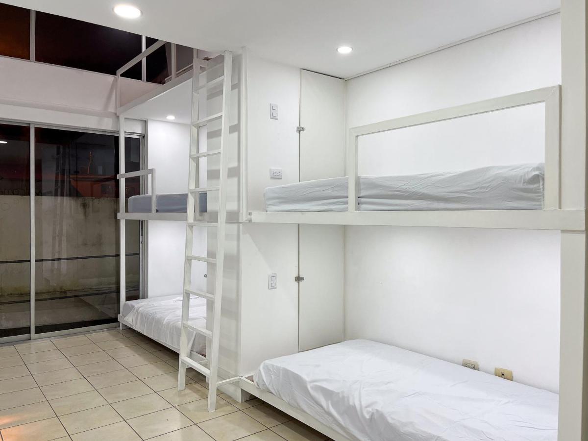 Sjo Oasis Hostel サンホセ エクステリア 写真