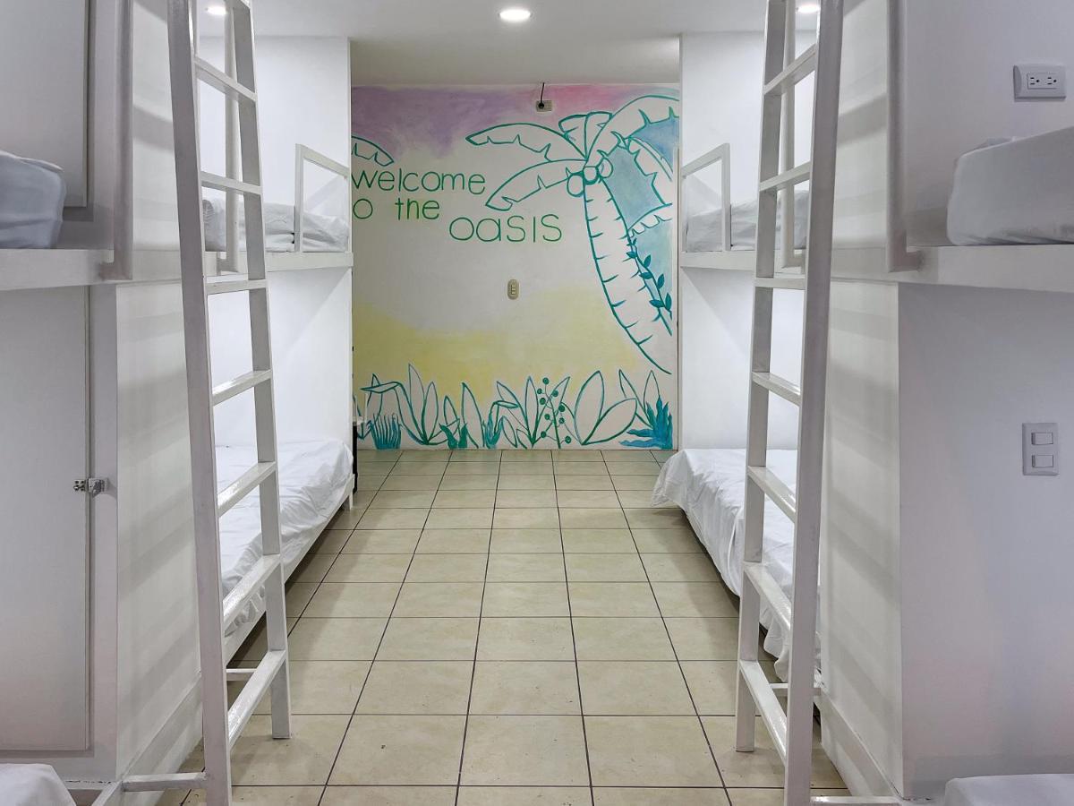 Sjo Oasis Hostel サンホセ エクステリア 写真