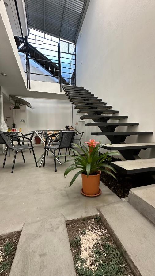 Sjo Oasis Hostel サンホセ エクステリア 写真