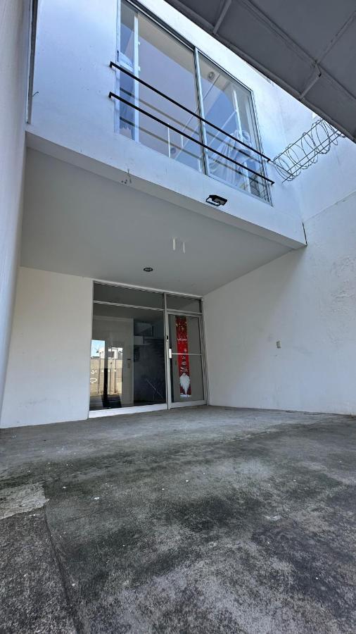 Sjo Oasis Hostel サンホセ エクステリア 写真