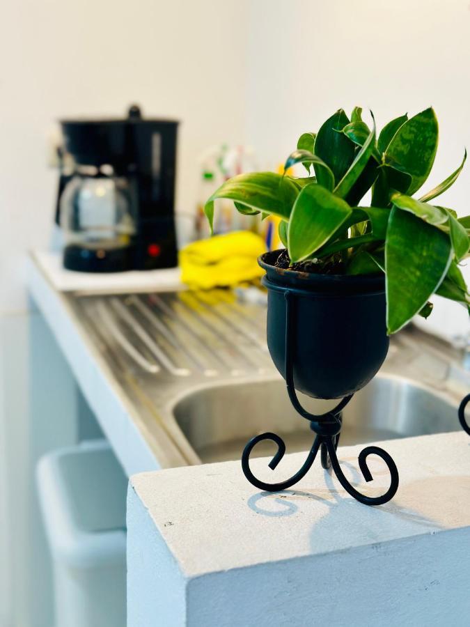 Sjo Oasis Hostel サンホセ エクステリア 写真