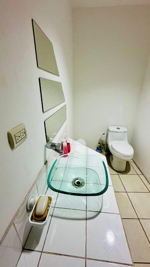 Sjo Oasis Hostel サンホセ エクステリア 写真
