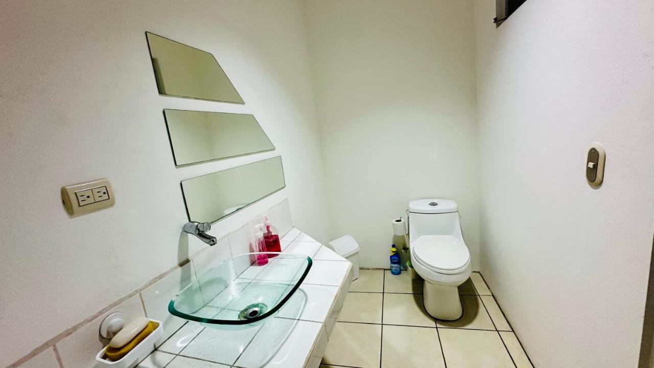 Sjo Oasis Hostel サンホセ エクステリア 写真