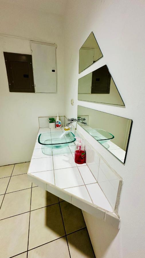 Sjo Oasis Hostel サンホセ エクステリア 写真