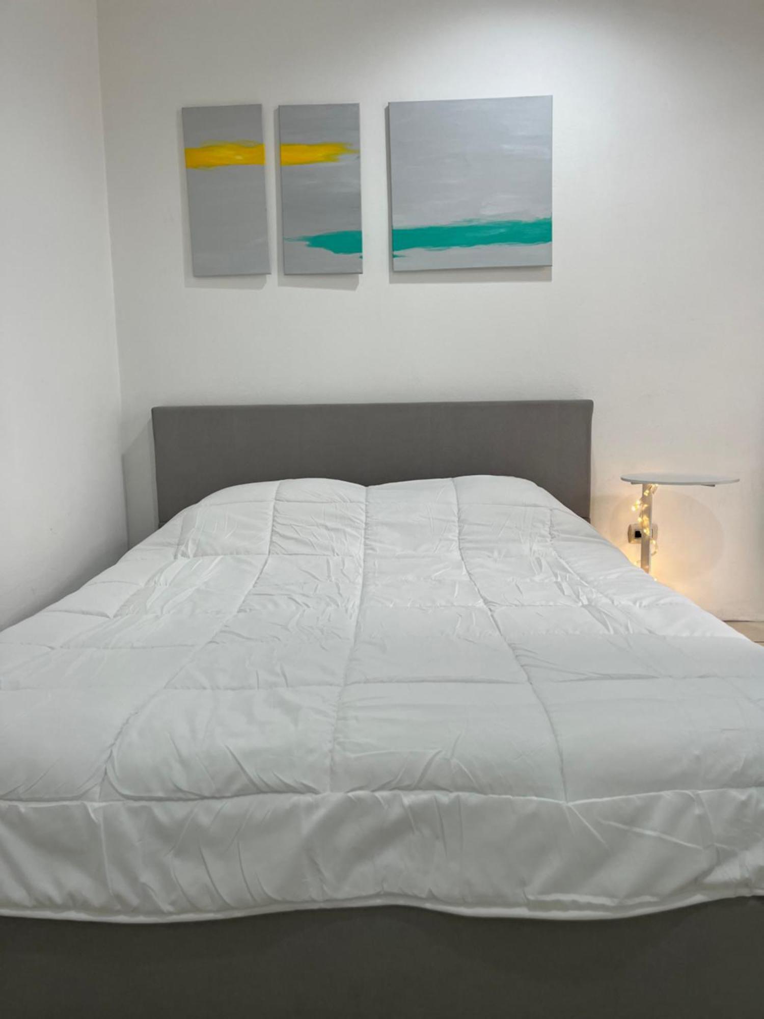 Sjo Oasis Hostel サンホセ エクステリア 写真
