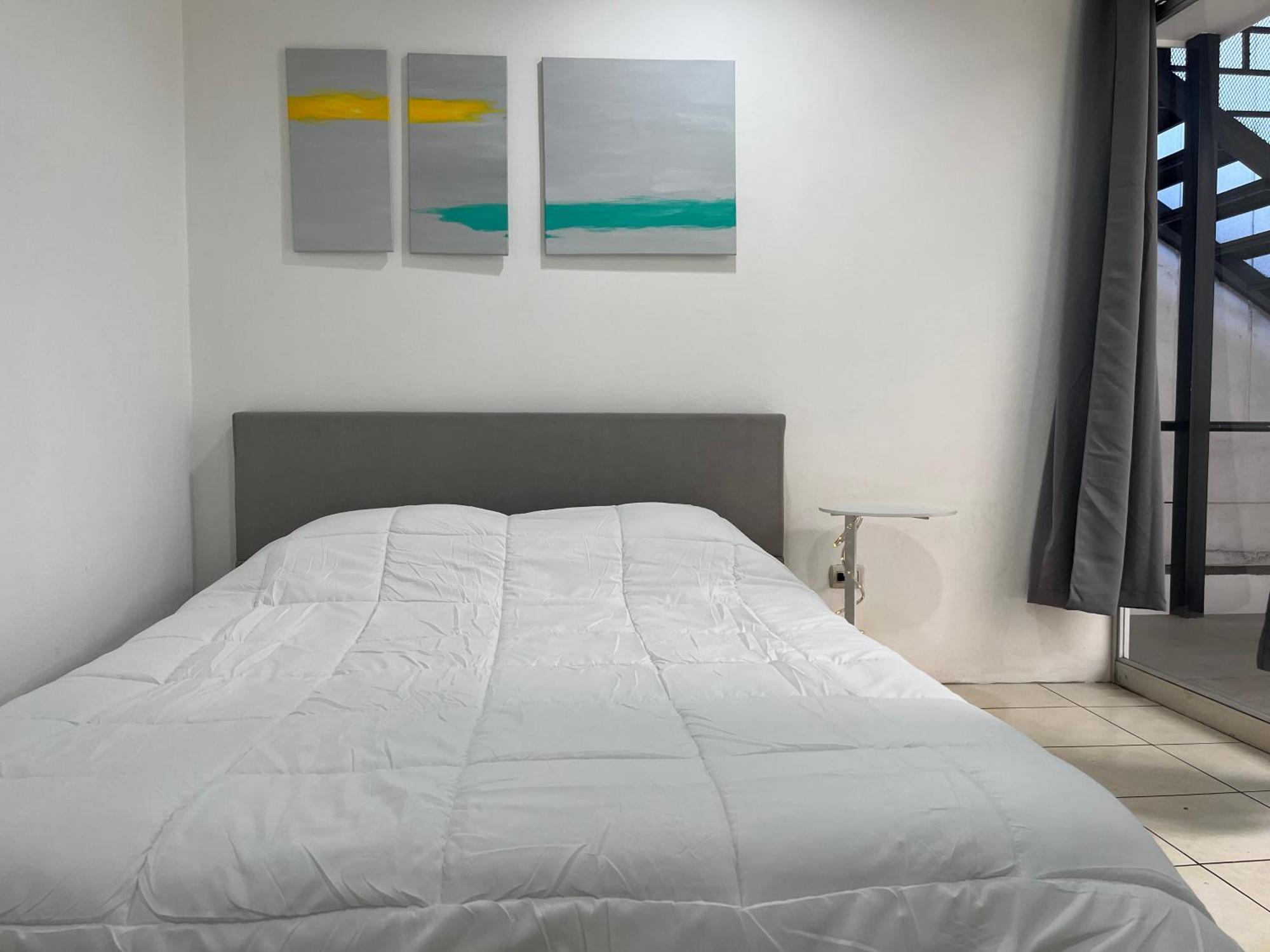 Sjo Oasis Hostel サンホセ エクステリア 写真