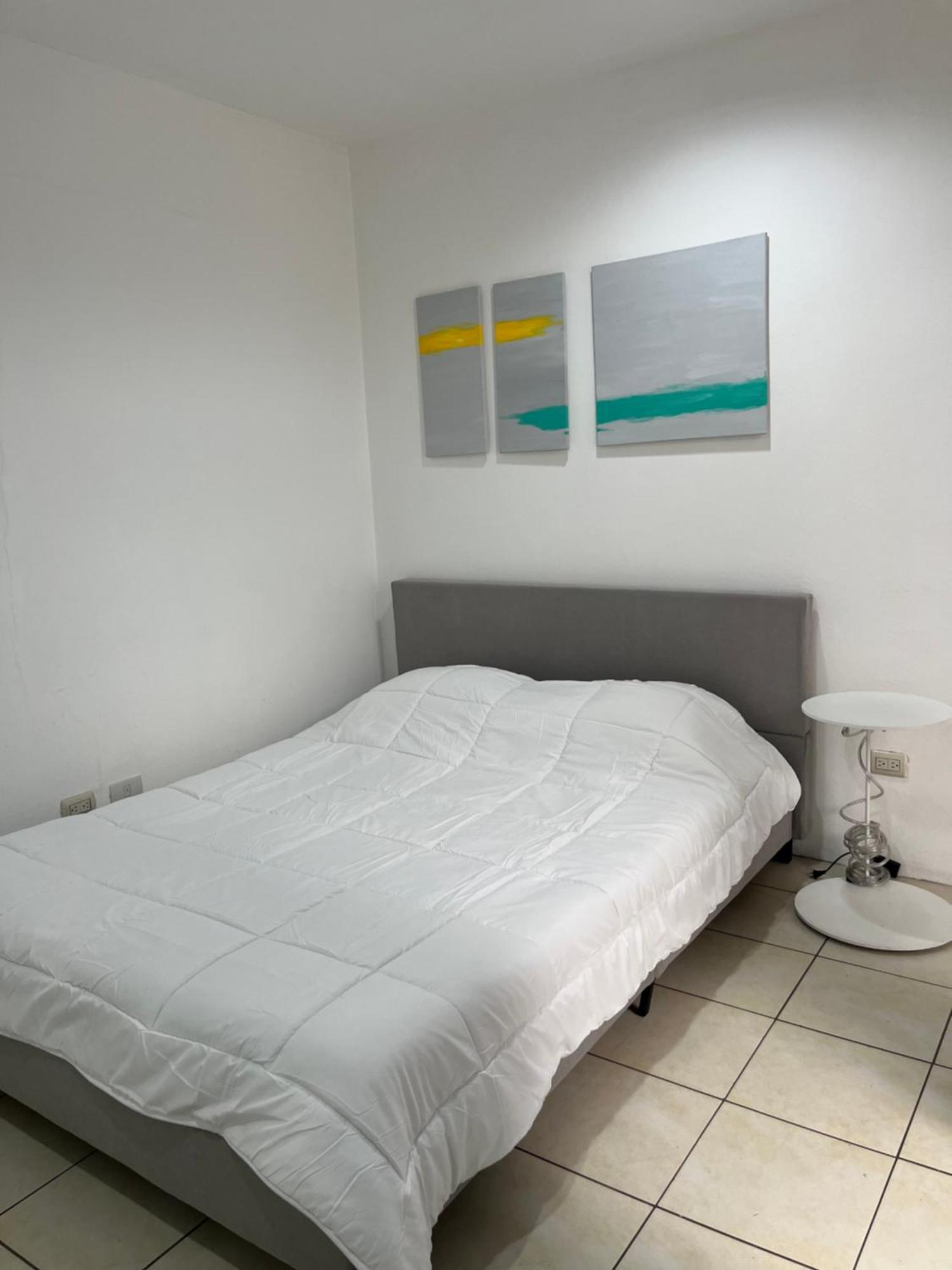 Sjo Oasis Hostel サンホセ エクステリア 写真