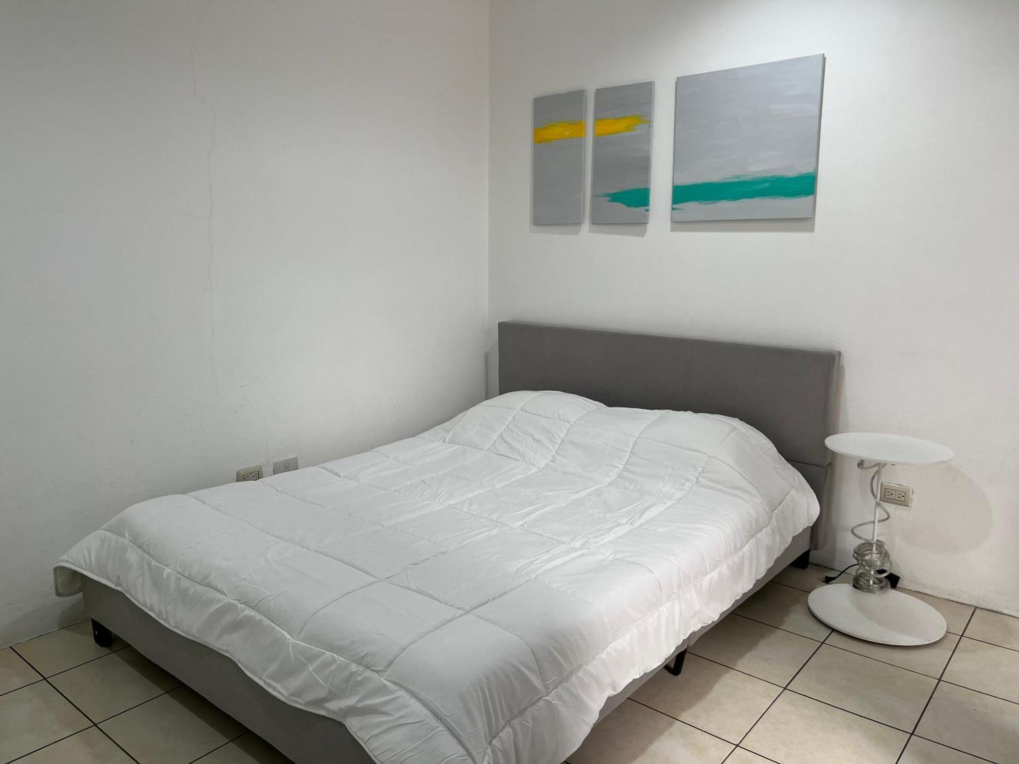 Sjo Oasis Hostel サンホセ エクステリア 写真