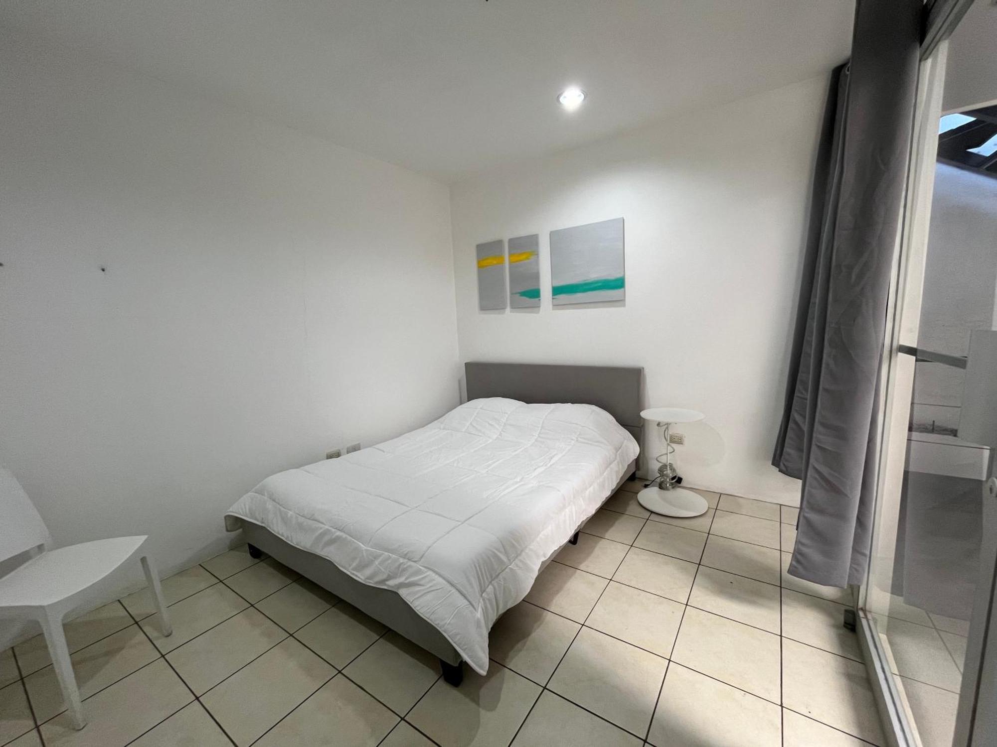 Sjo Oasis Hostel サンホセ エクステリア 写真